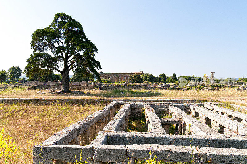 罗马神庙- Paestum